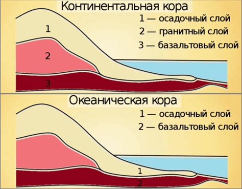 Океаническая кора: формирование и характеристики