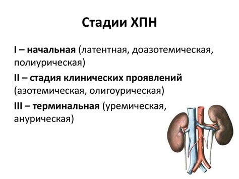 Описание Хронической почечной недостаточности (ХПН)