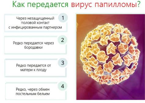 Описание методики генотипирования ВПЧ