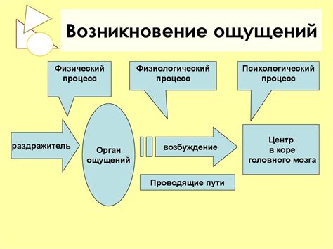 Описание процесса и его возникновение