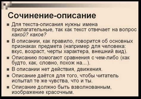 Описание текста в 6 классе: важность и особенности