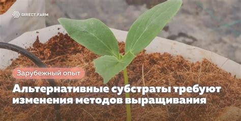 Описание условий и методов выращивания