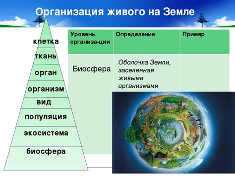 Определение биосферы