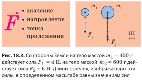 Определение и значение законов в физике