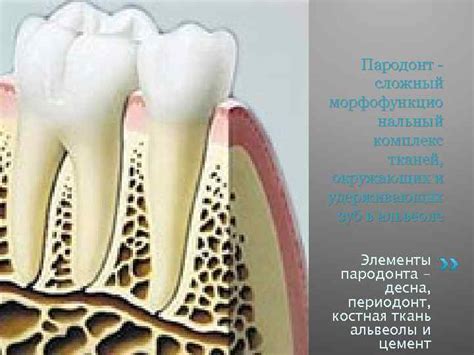 Определение и особенности заболевания