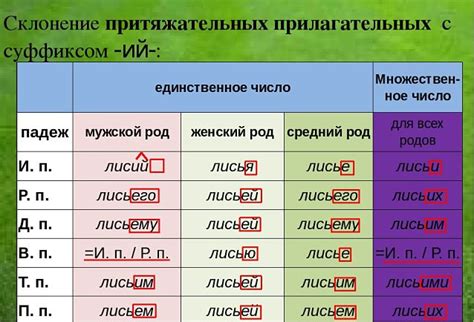 Определение и особенности местоимений прилагательных