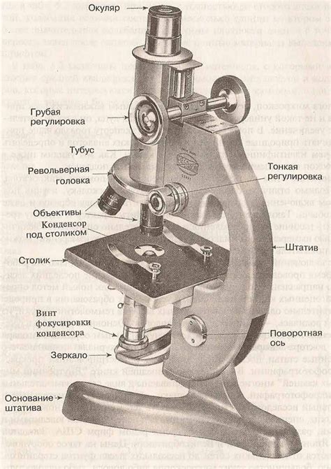 Определение и применение микроскопа