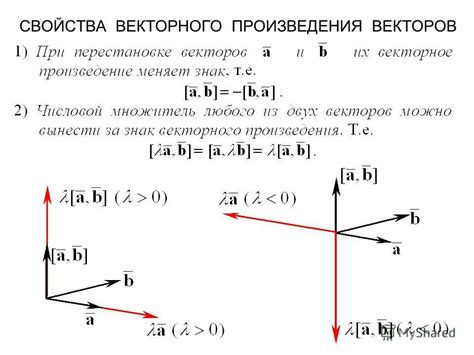 Определение и примеры векторов