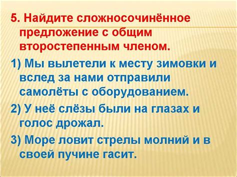 Определение и примеры использования общего значения в русском языке