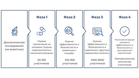 Определение и продолжительность первой фазы