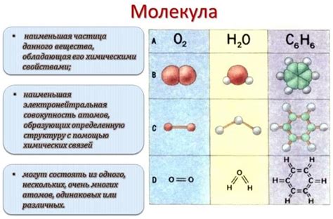 Определение и свойства молекулы