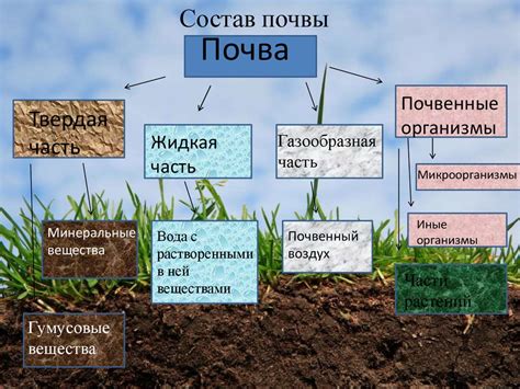 Определение и структура почвы