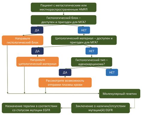 Определение и сущность мутации EGFR при раке легкого