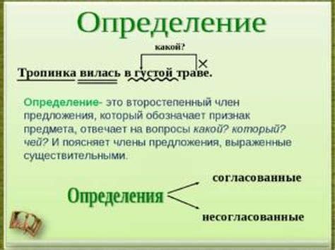 Определение и функции предлога в русском языке