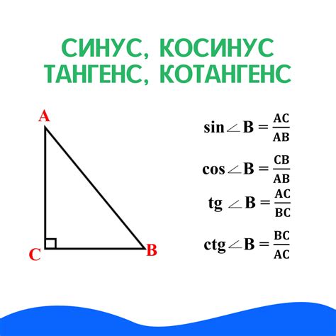 Определение противосолони