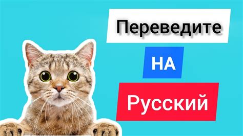 Определение самых часто используемых слов