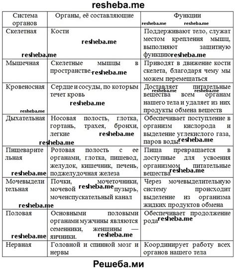 Определение системы в биологии