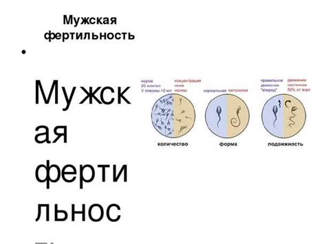 Определение факторов, влияющих на мужскую фертильность