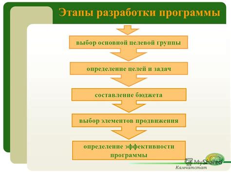 Определение целей и выбор программы