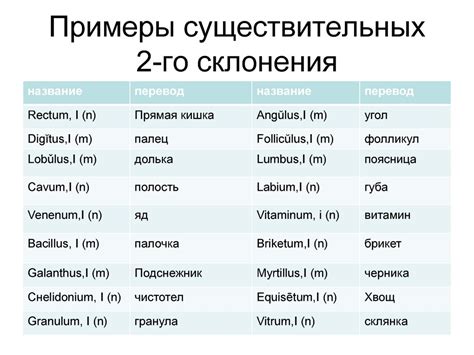 Определяемые слова в медицине на латинском языке