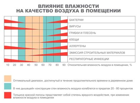 Оптимальная температура и влажность для хранения моркови