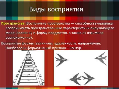 Оптические особенности восприятия водителем окружающего пространства