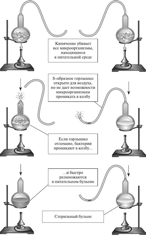 Опыты Пастера с микроорганизмами