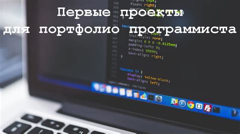 Опыт и портфолио