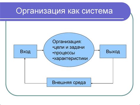 Организация: определение и сущность