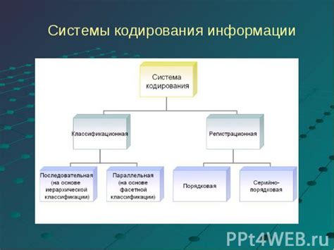 Организация информации в компьютерных системах