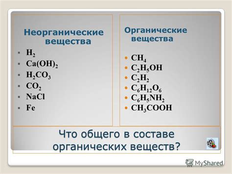 Органические вещества: ключевой компонент почвенного состава