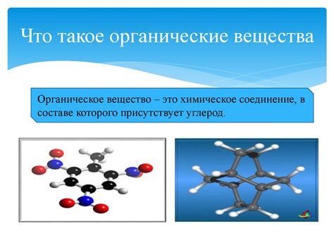 Органические вещества и основные элементы, входящие в их состав