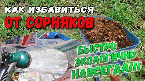 Органические методы борьбы с сорняками