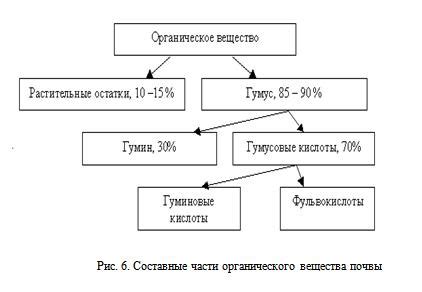 Органическое вещество в почве