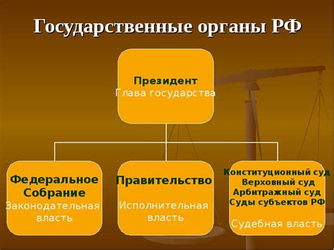 Органы государственной власти: понятие и виды