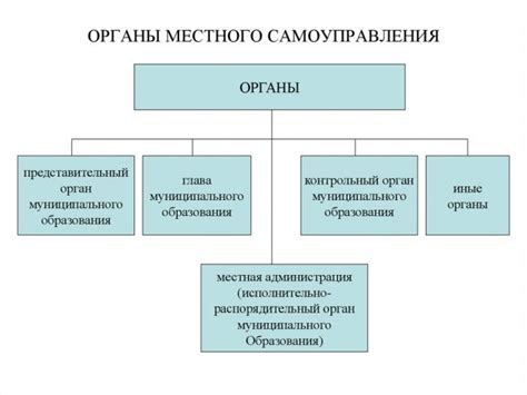 Органы местного самоуправления