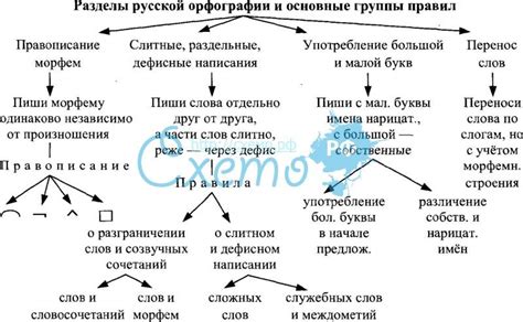 Орфографические правила русского языка: важные принципы и основные положения