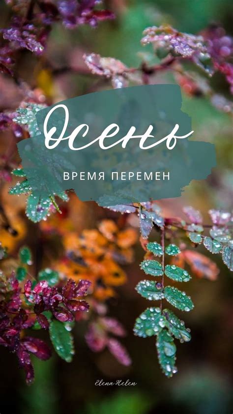 Осень: время перемен и задумок