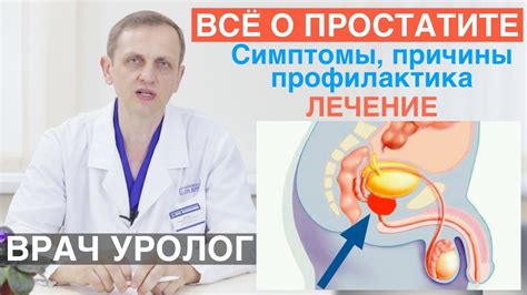 Ослабление иммунитета и здоровье простаты