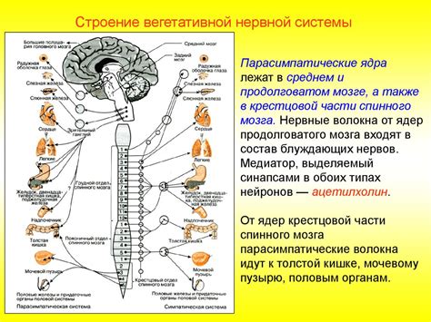 Осложнения для нервной системы