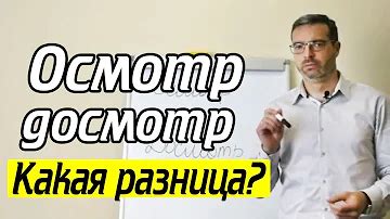 Осмотр и досмотр: основные понятия