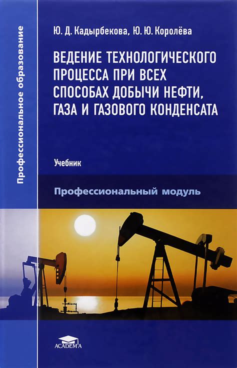 Основные аспекты процесса добычи нефти и газа