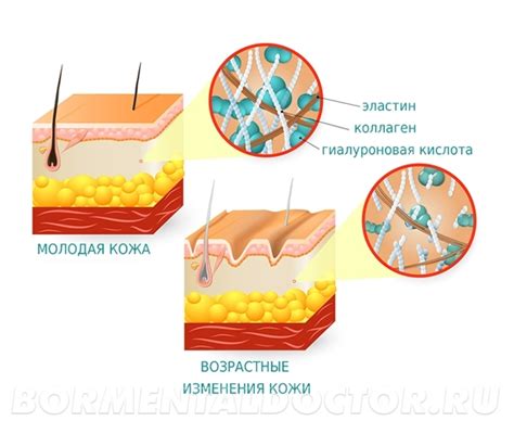 Основные аспекты тургора кожи