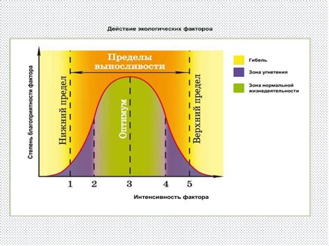 Основные компоненты освежителя и их влияние на организм