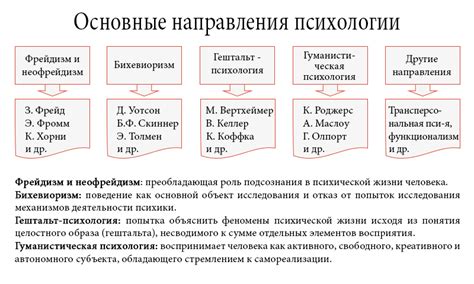 Основные направления в психологии