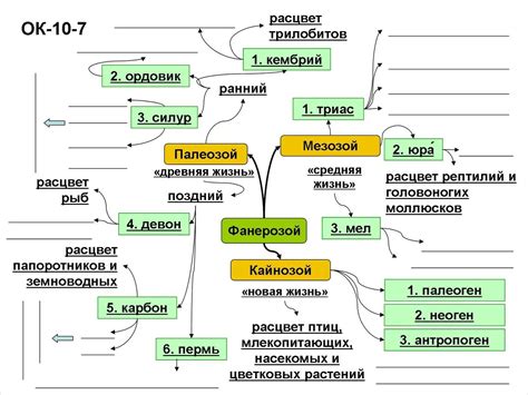 Основные понятия биологии 10 класс