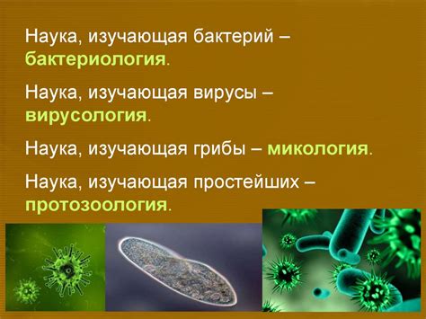 Основные понятия микробиологии