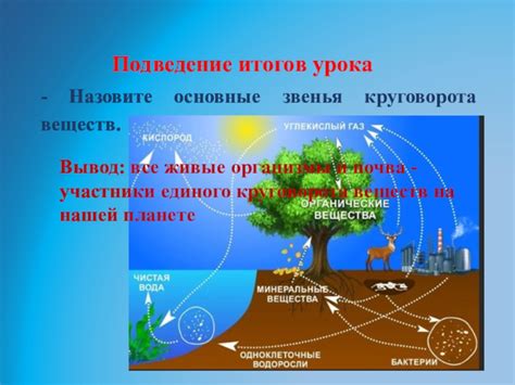 Основные понятия окружающего мира для учеников 3 класса