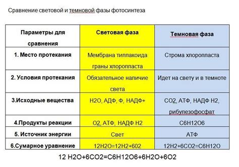 Основные признаки первой фазы