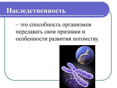 Основные принципы генетики